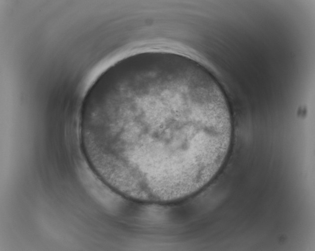 X0000111501514200907141300