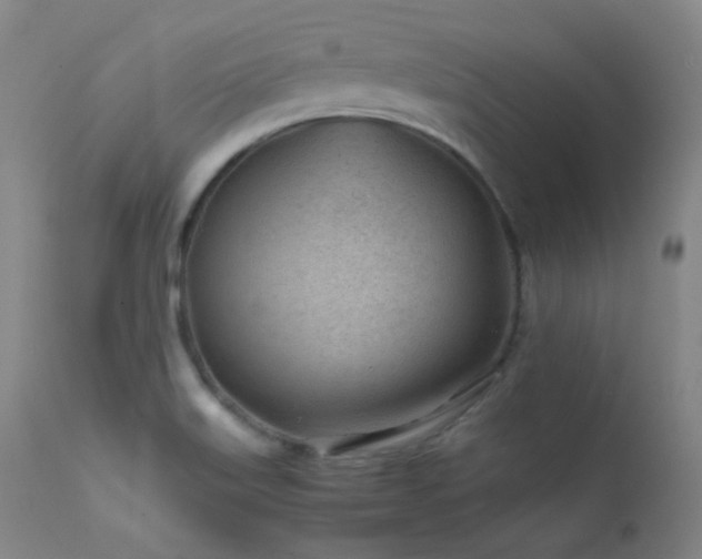 X0000111501515200907141300