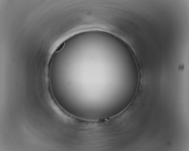 X0000111501516200907141300