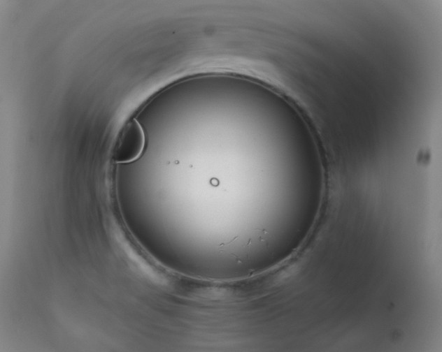 X0000111501517200907141300