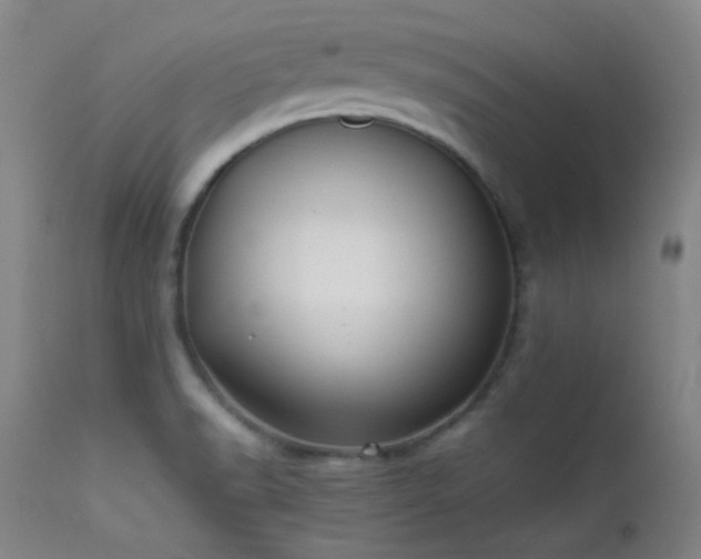 X0000111501518200907141300