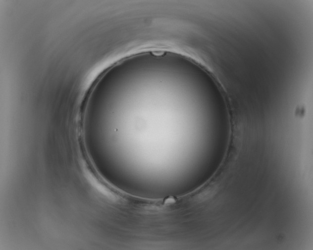 X0000111501519200907141300
