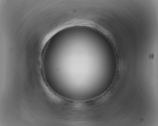 X0000111501520200907141300