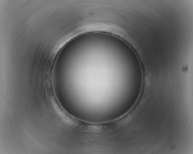 X0000111501521200907141300