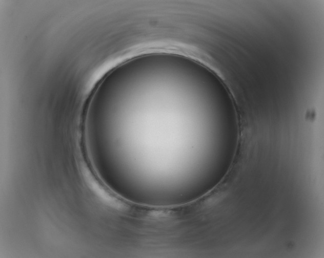 X0000111501523200907141300