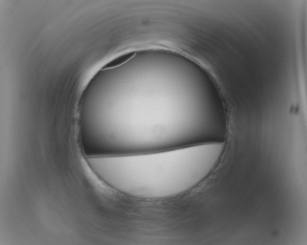 X0000111501524200907141300