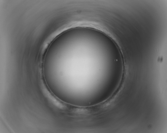 X0000111501525200907141301