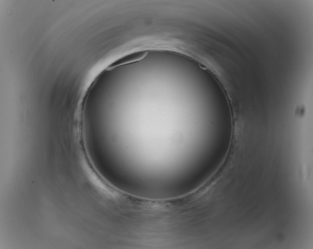 X0000111501528200907141301