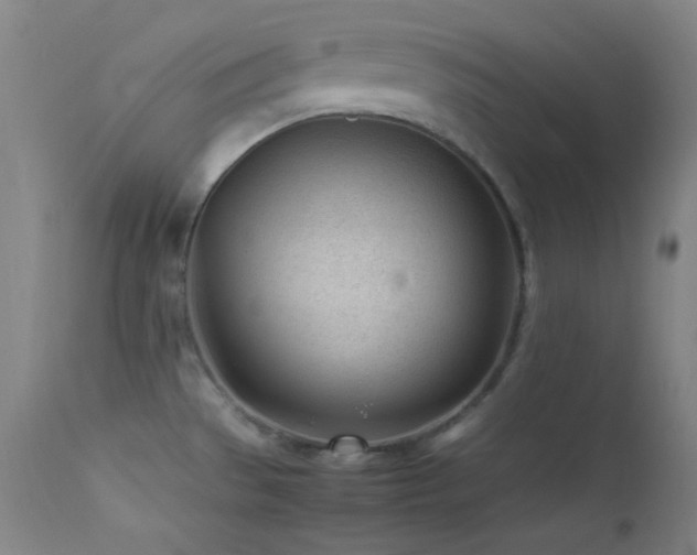 X0000111501529200907141301