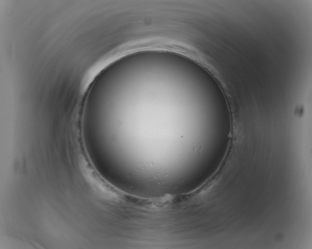 X0000111501530200907141301