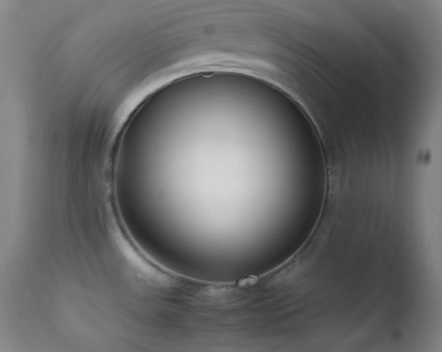 X0000111501531200907141301