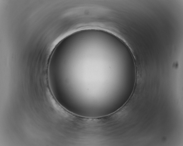 X0000111501534200907141301