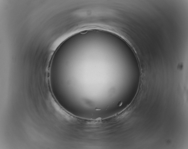 X0000111501535200907141301