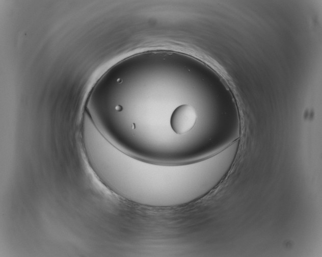 X0000111501536200907141301