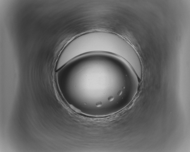 X0000111500001200907211040