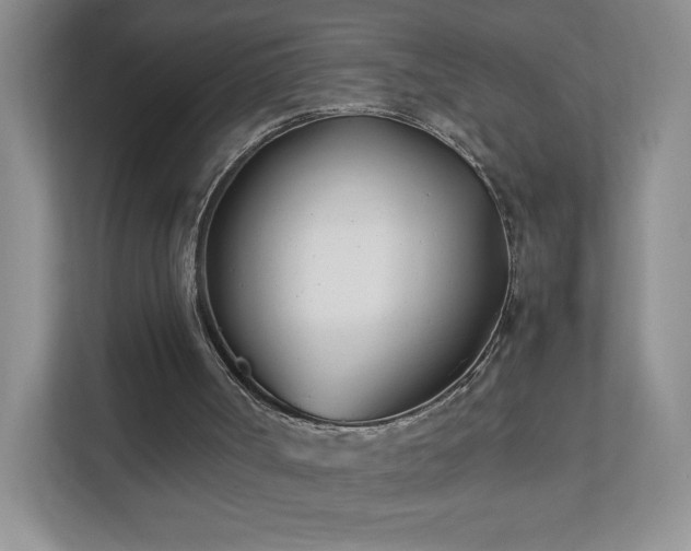 X0000111500002200907211040