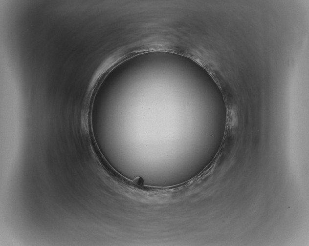 X0000111500004200907211040