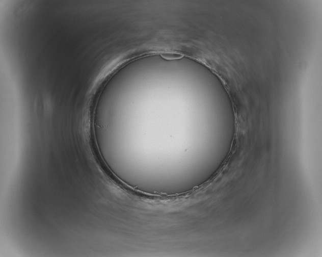 X0000111500005200907211040