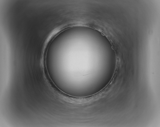 X0000111500006200907211040