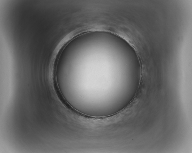 X0000111500007200907211040