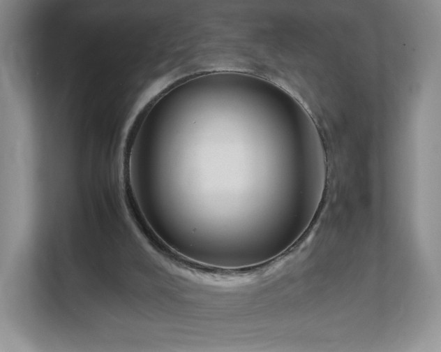 X0000111500008200907211040