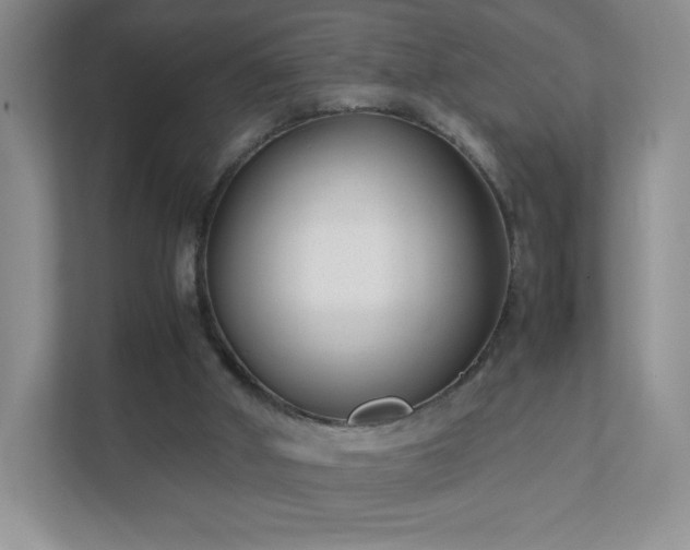 X0000111500010200907211040