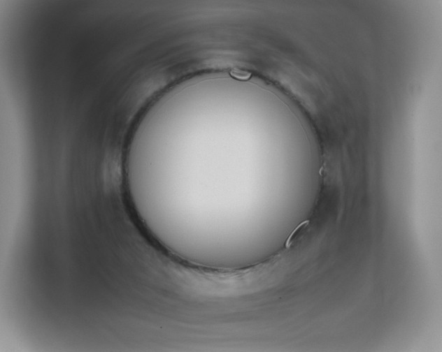 X0000111500015200907211040