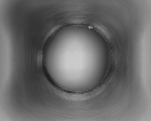 X0000111500016200907211040