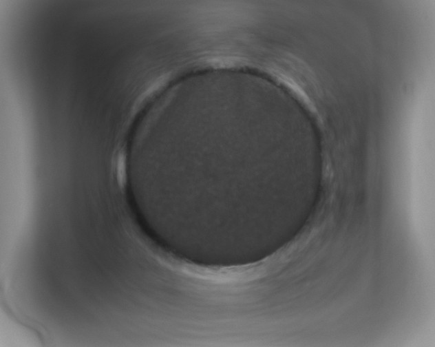 X0000111500019200907211040