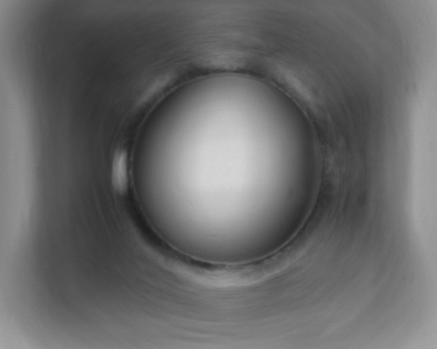 X0000111500020200907211040