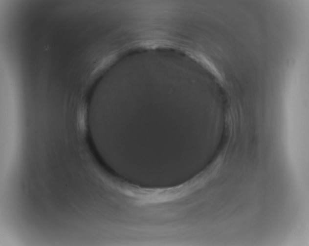 X0000111500023200907211040