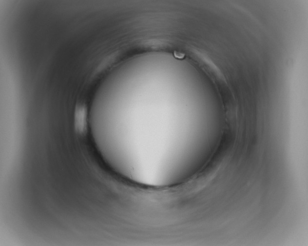 X0000111500024200907211040