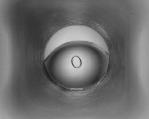 X0000111500025200907211040