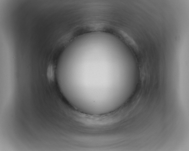 X0000111500026200907211040