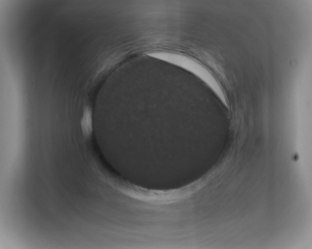 X0000111500027200907211040