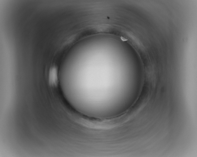 X0000111500028200907211040