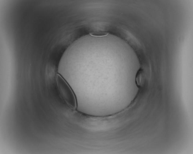 X0000111500029200907211040