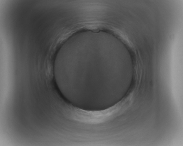 X0000111500031200907211040