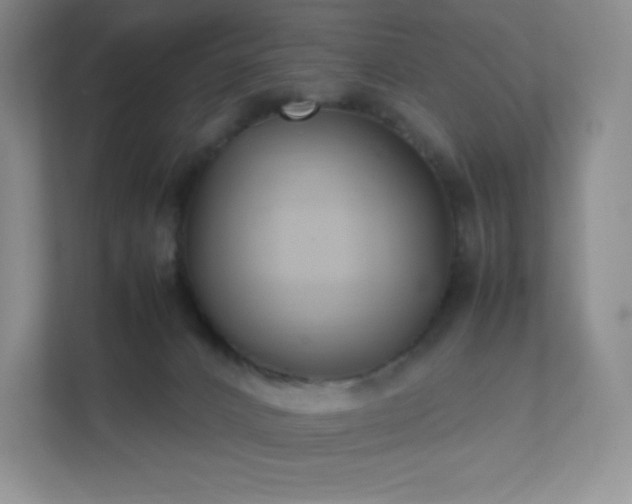 X0000111500032200907211040