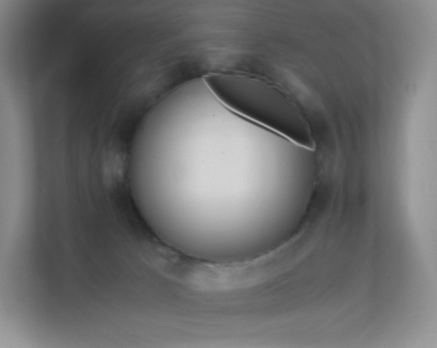 X0000111500033200907211040