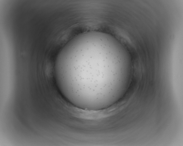 X0000111500034200907211040