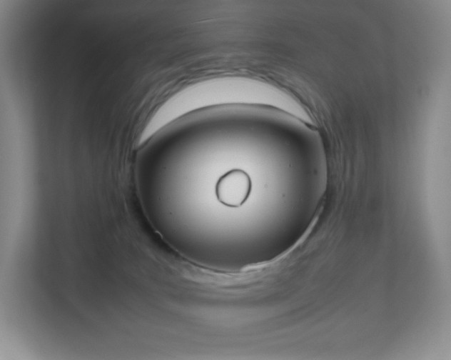 X0000111500035200907211039