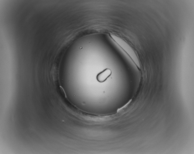 X0000111500036200907211039