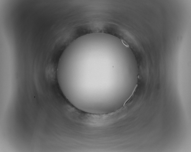 X0000111500037200907211039