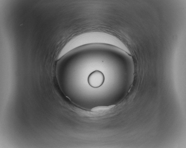 X0000111500039200907211039