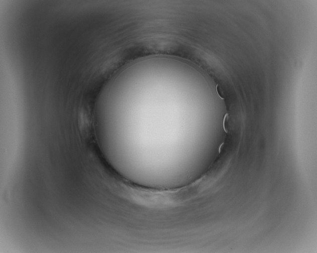 X0000111500040200907211039