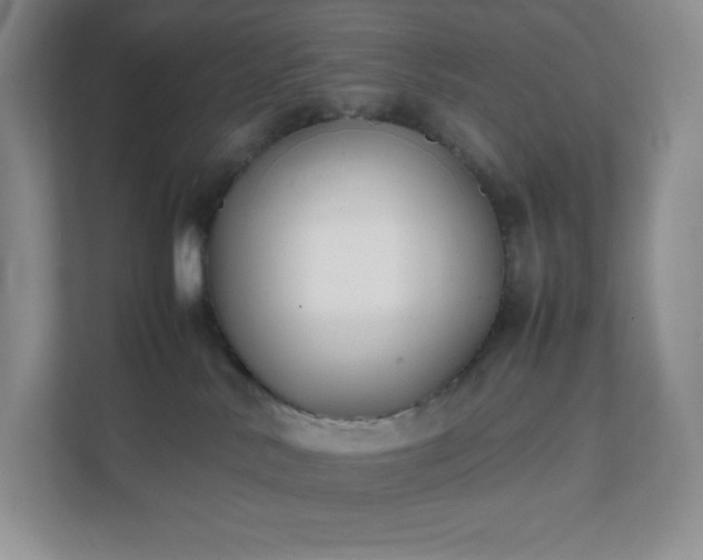 X0000111500042200907211039