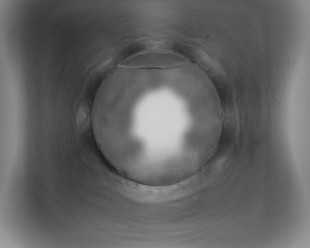 X0000111500043200907211039