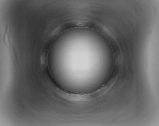 X0000111500044200907211039