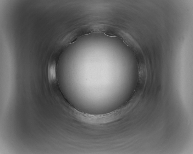 X0000111500046200907211039